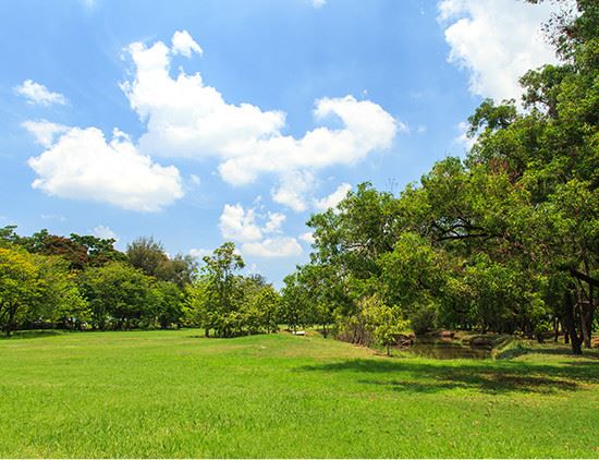 Parks and Recreation